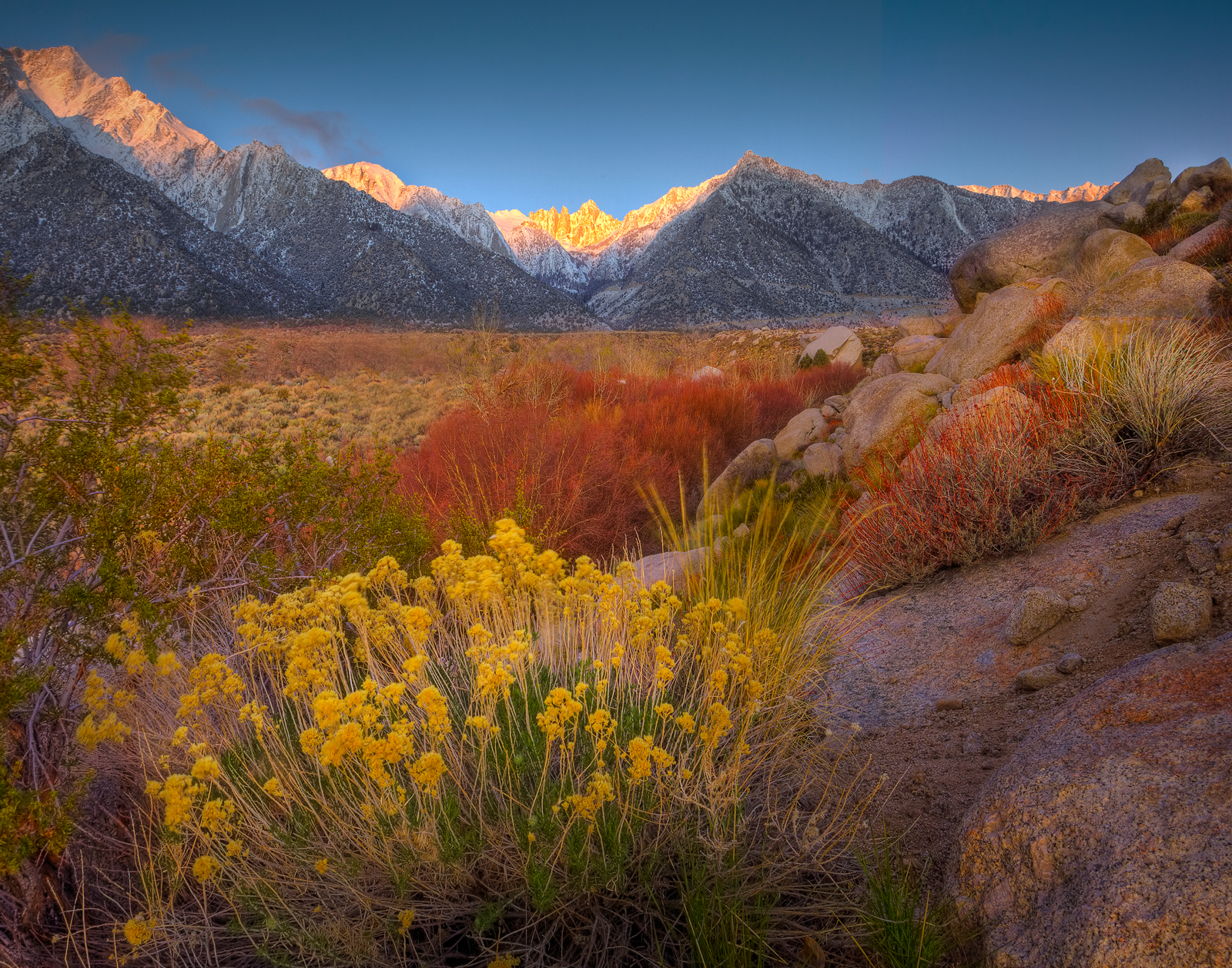 David – Winner Nature’s Best Photography