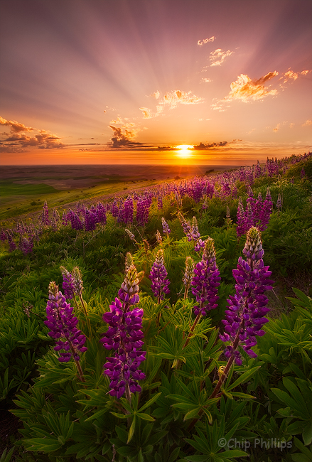 Photo Cascadia Images Featured on MegaBrands Puzzles
