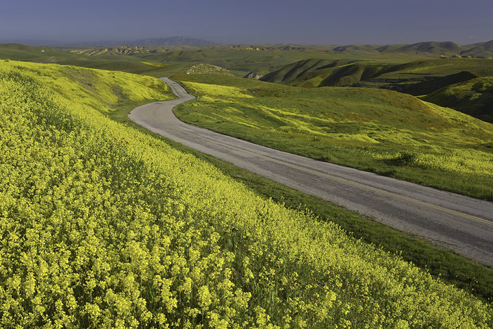 Following the Spring Bloom