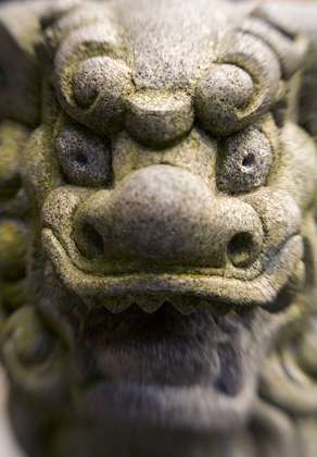 7 Reasons I Use a Lensbaby