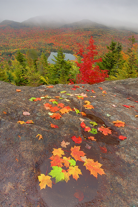 “If Something Can Go Wrong It Probably Will” – Kevin McNeal