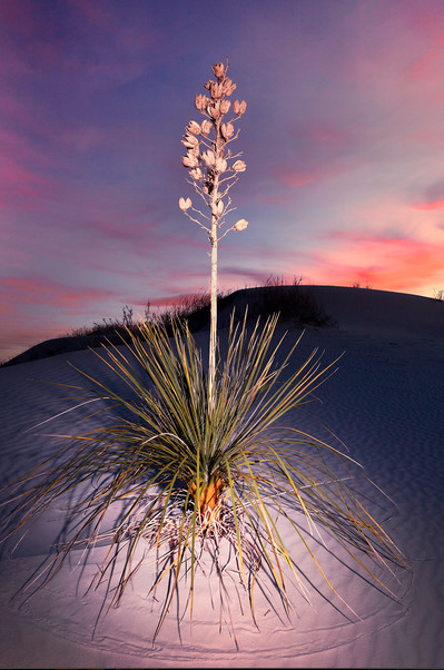 Photographing White Sands National Monument – By Kevin McNeal