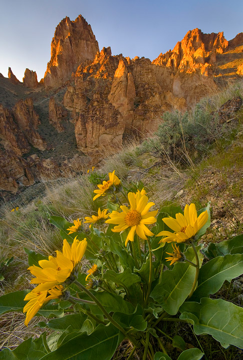 Photographing Owyhee Country