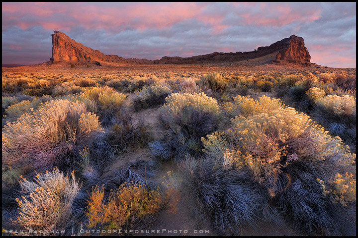 Set The Right Contrast and Color Balance With A Single Adjustment – By Sean Bagshaw