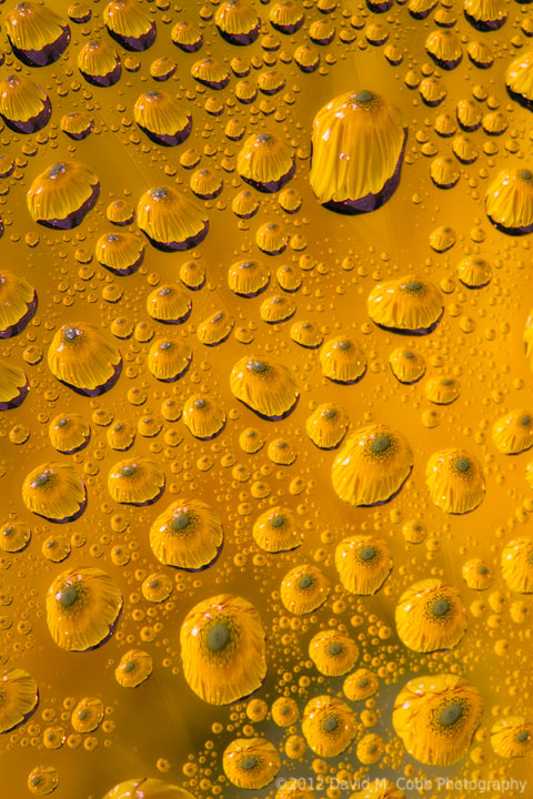 Avoid Those Photography Ruts – By David Cobb