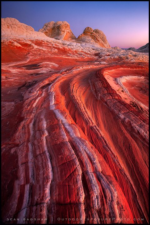 Mysterious Salmon Light by Sean Bagshaw