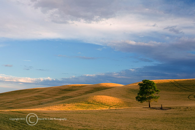 Opposites Attract by David Cobb