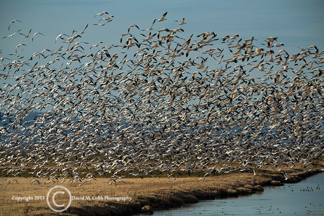 Photographing the Klamath Basin by David Cobb - Photo Cascadia