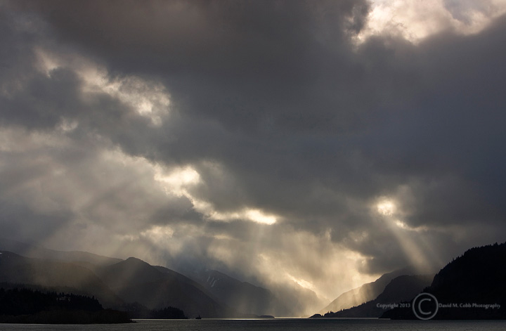 The View by David Cobb