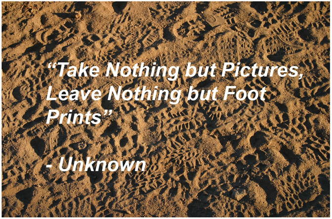 Photography and our Environment