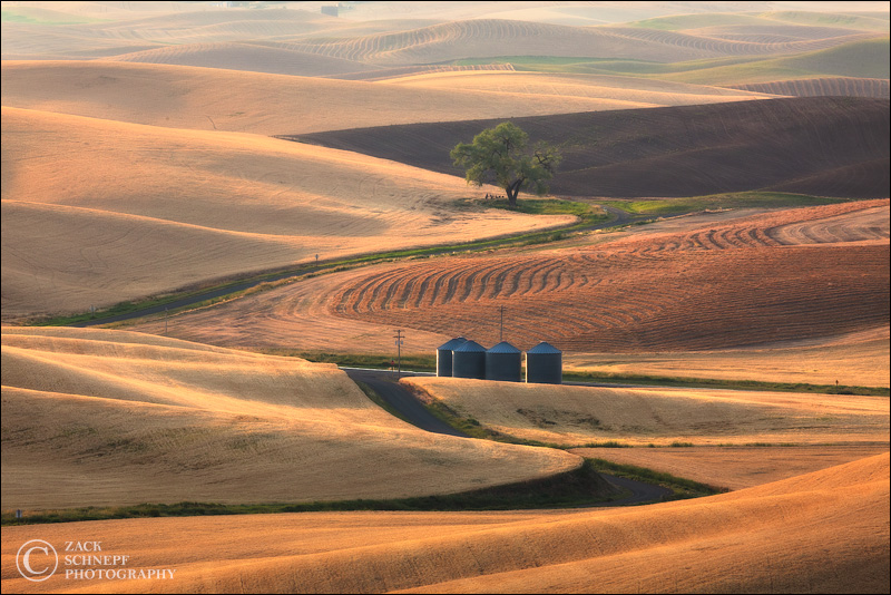 Field Report – Palouse Workshop