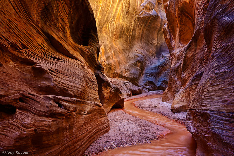 Featured Photographer – Tony Kuyper