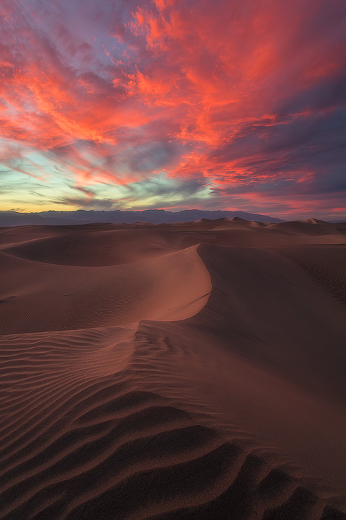 An Interview with David Thompson by David Cobb