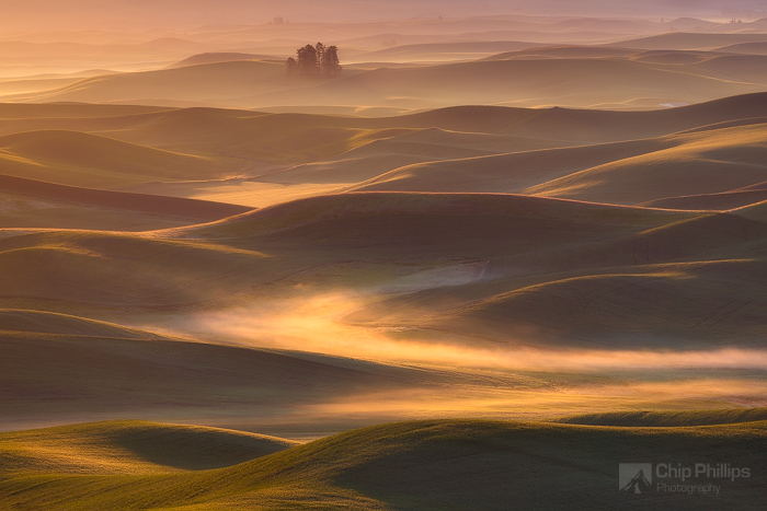 Palouse Spring 2015