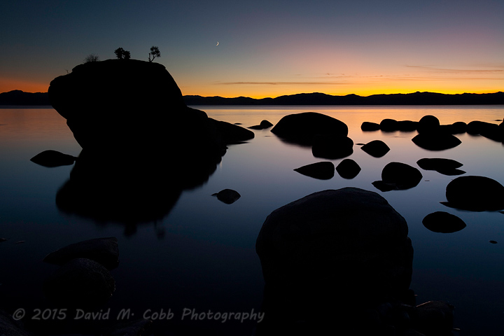 Ode to the Silhouette by David Cobb