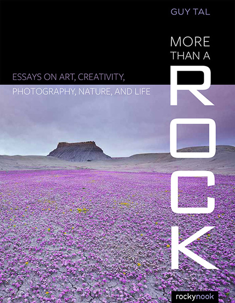 Book Review: More Than A Rock, review by David Cobb