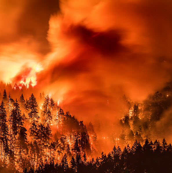 The Eagle Creek Fire Still Burns, Yet We Must Look To The Future