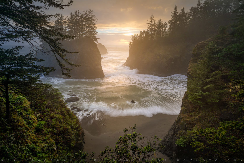 Wild Rivers Coast, Samuel H. Boardman Scenic Corridor, Oregon.