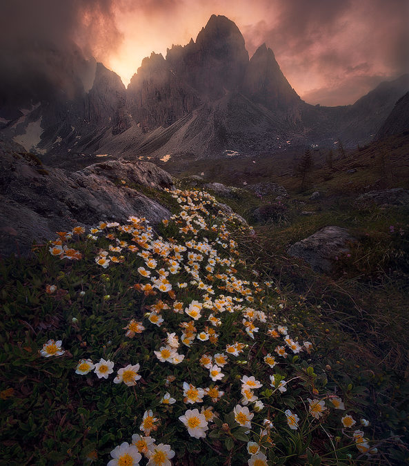 Dolomites Extended Edition 2018 with Erin Babnik and Alexandre Deschaumes (One Spot Now Available!)