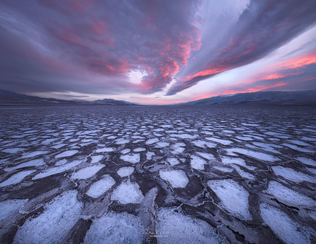 The Missing Piece by Erin Babnik