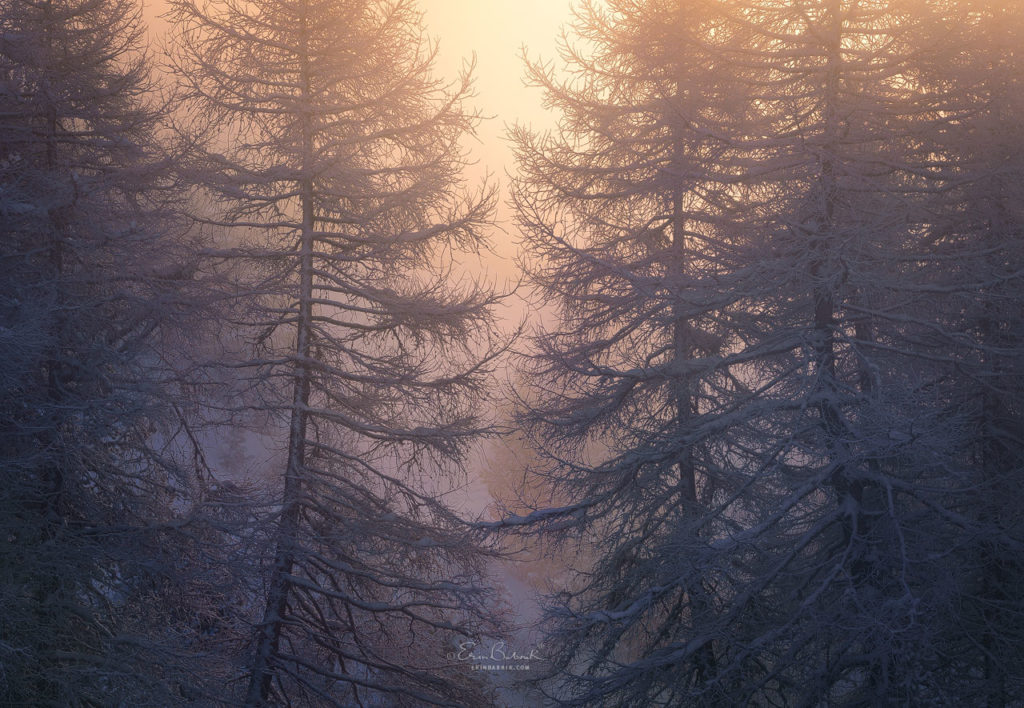 Within Reach