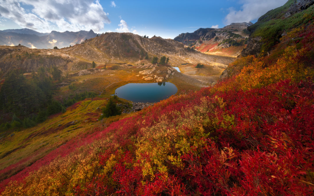 Top Ten Tips For Photographing Fall Color