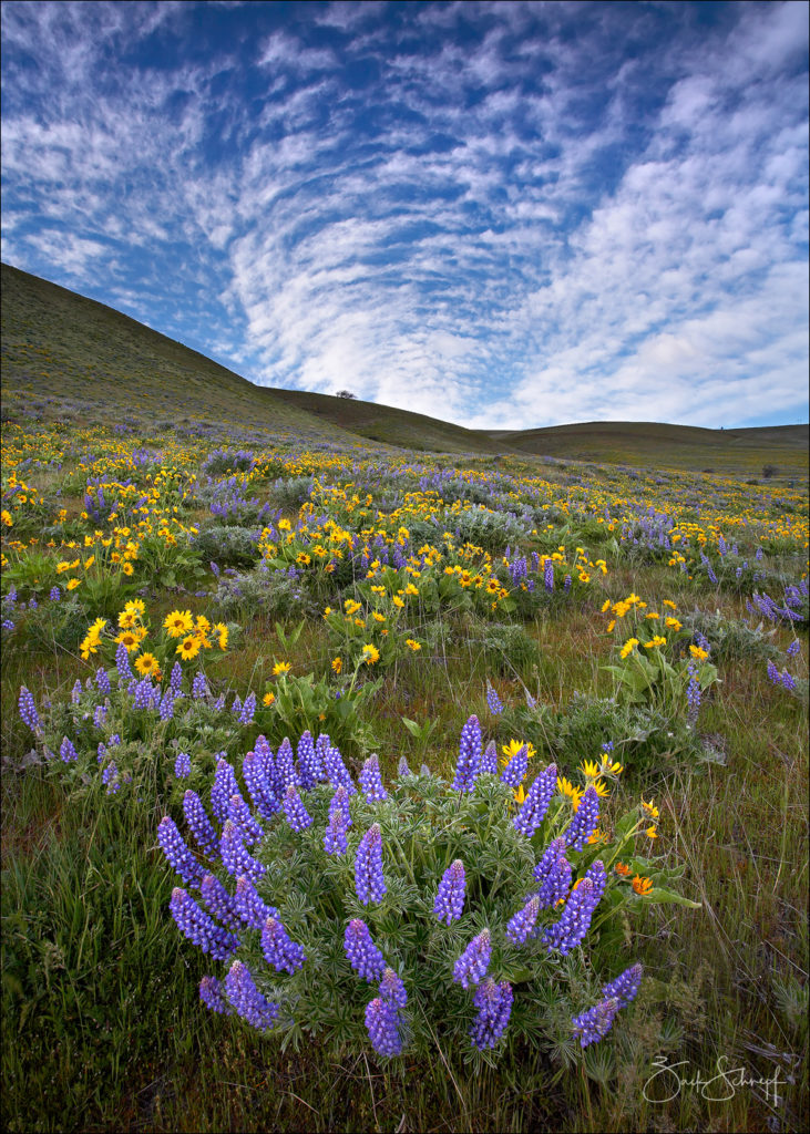 Columbia Hills, Washington