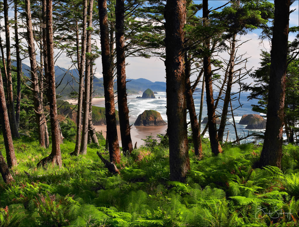 Cannon Beach, Oregon, Ecola, State Park, Oregon