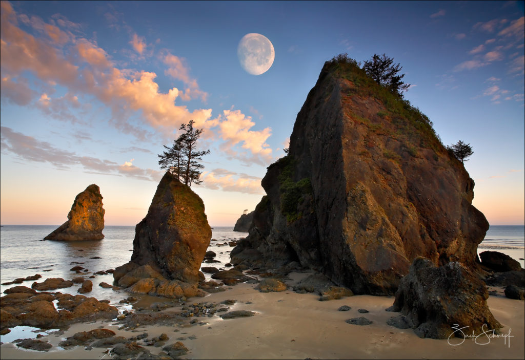 Shi Shi Beach, Washington