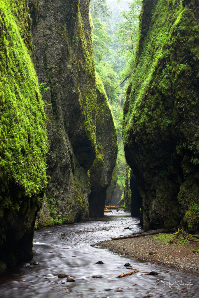 Oneonta Gorge, Columbia River Gorge, Oregon