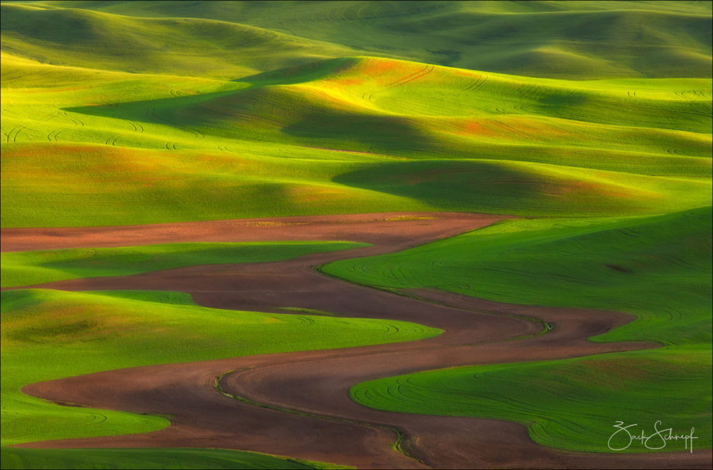 Palouse, Washington