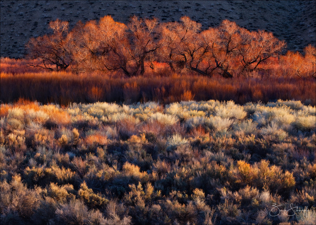 Owens Valley, CA