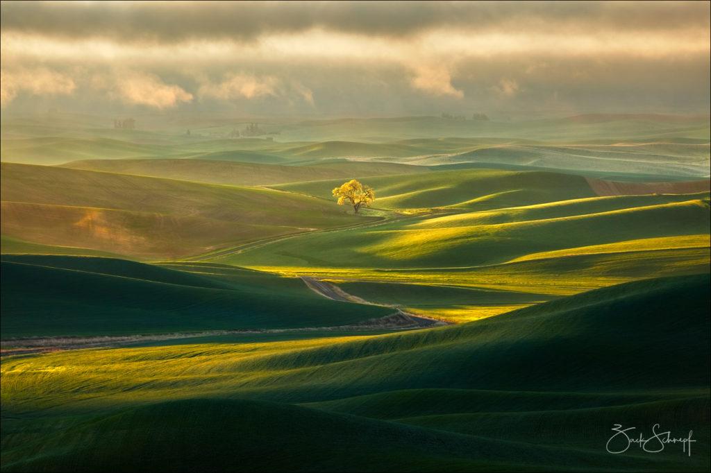 Palouse, Washington