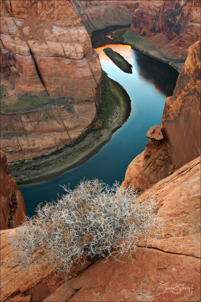 Colorado River, AZ