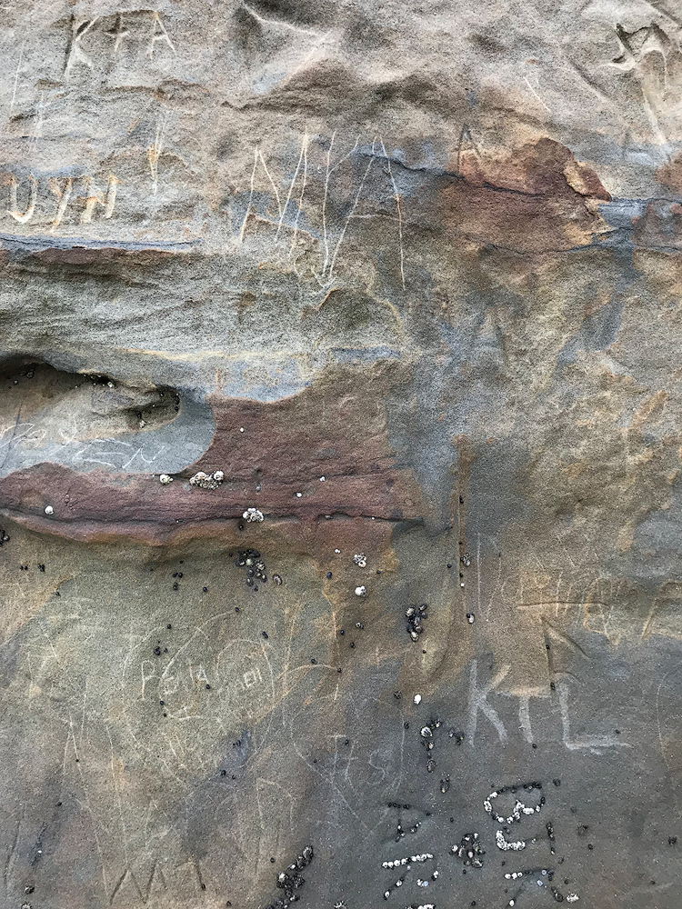 Cape Kiwanda Vandalism - Image Three