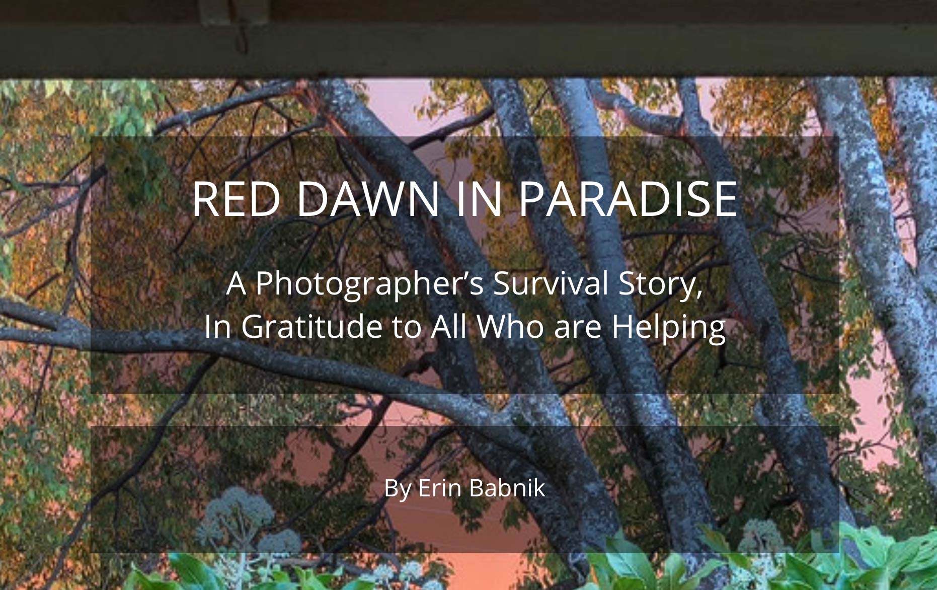 Red Dawn Article Screenshot