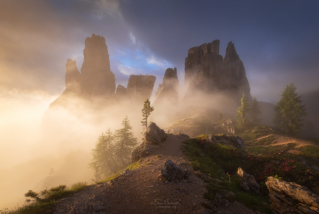 Gold Rush by Erin Babnik