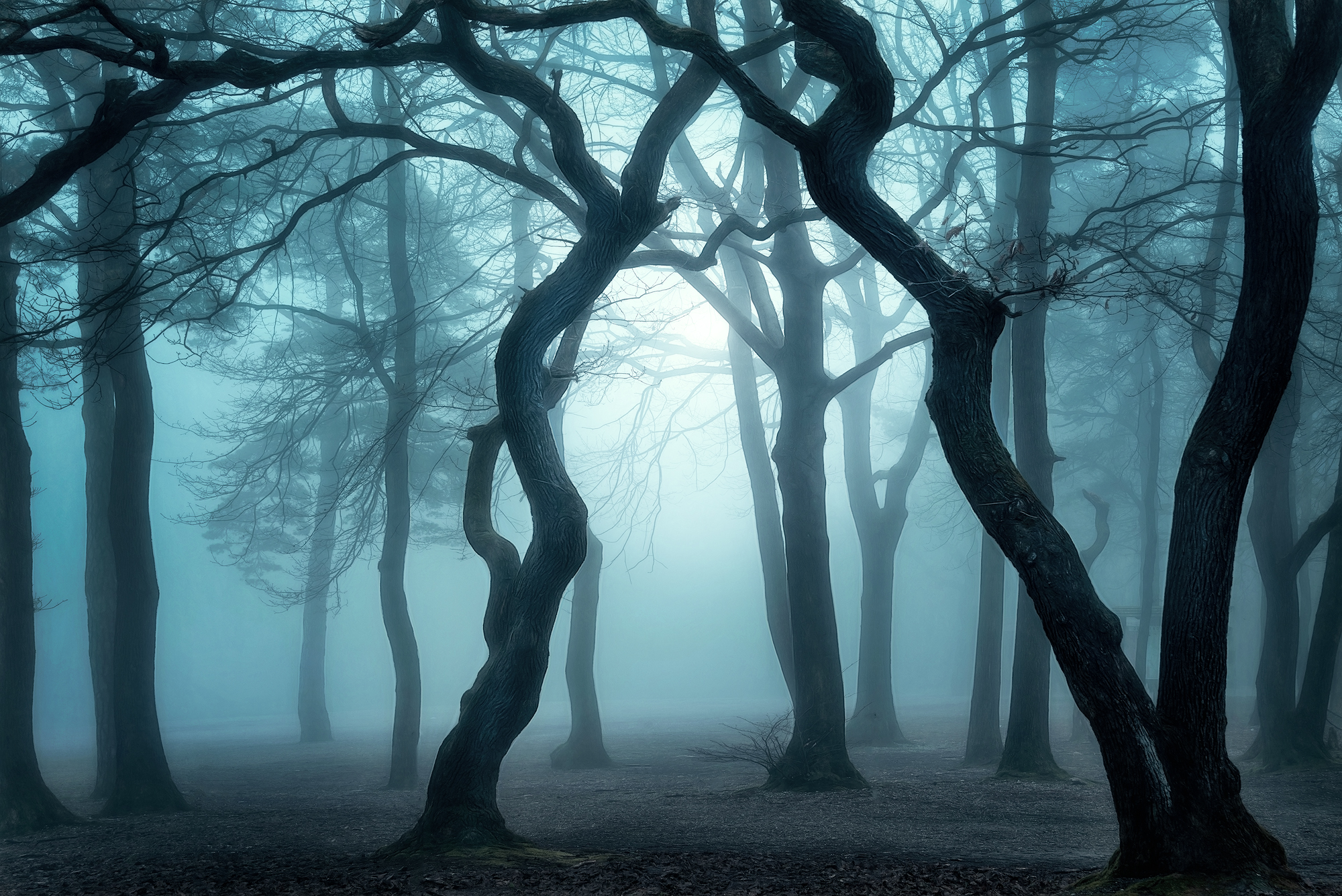 Chasing Light: Secrets of Captivating Landscape Shots