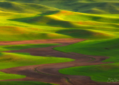 My Favorite Light For Photographing Landscapes