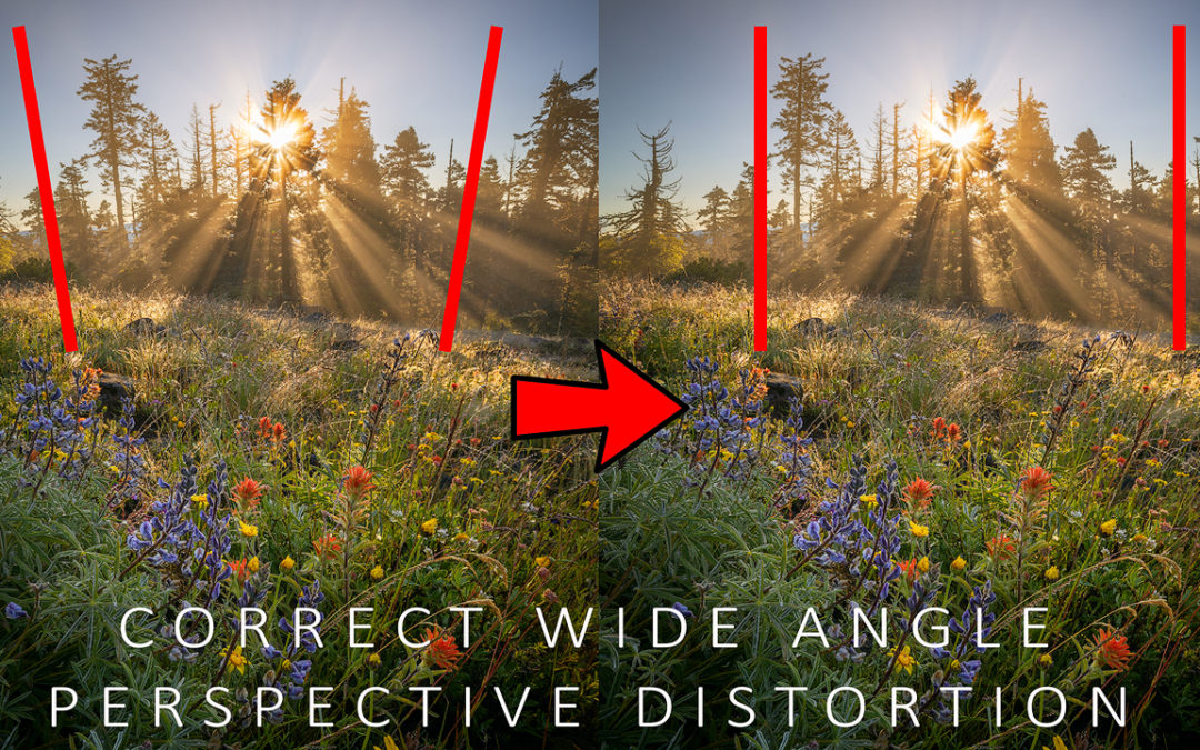 How To Correct Wide-Angle Perspective Distortion In Photoshop