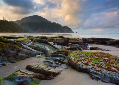 Where It All Started – Early Exposure to Photography