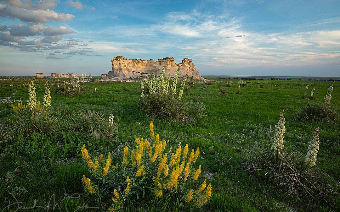 The Great Plains: Nebraska & Kansas (1 spot)