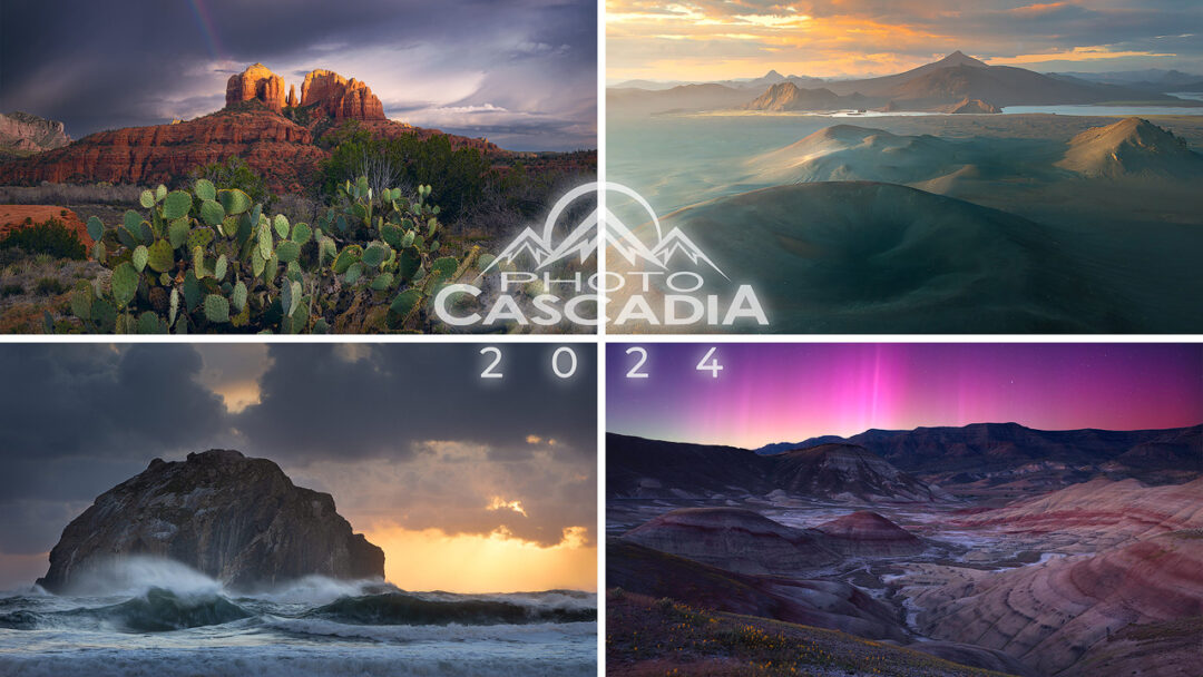 A Year In Photography 2024