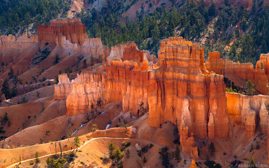 Canyons of Escalante and Bryce Workshop