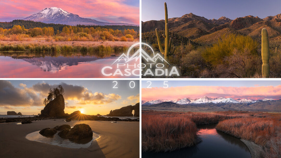 Photo Cascadia’s 2025 Year in Photos